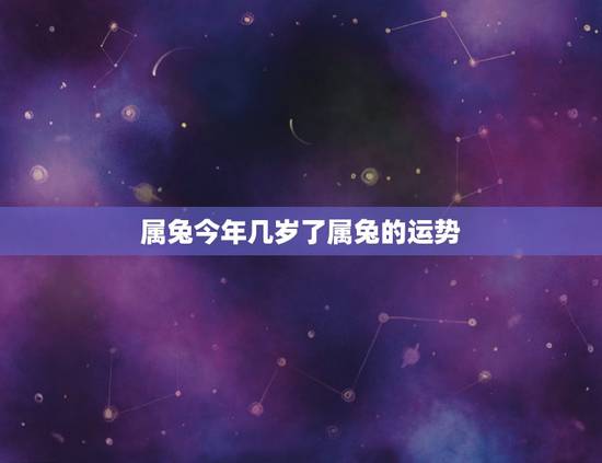 属兔今年几岁了属兔的运势,87年属兔34岁有一劫2022 属兔今年几岁了属兔的运势,87年属兔34岁有一劫2022