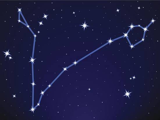 什么星座能活到1000岁(揭秘长寿星座的秘密) 什么星座能活到1000岁(揭秘长寿星座的秘密)