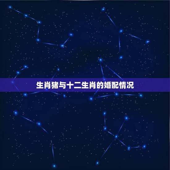 生肖猪与十二生肖的婚配情况,猪和十二属相配对指数 生肖猪与十二生肖的婚配情况,猪和十二属相配对指数