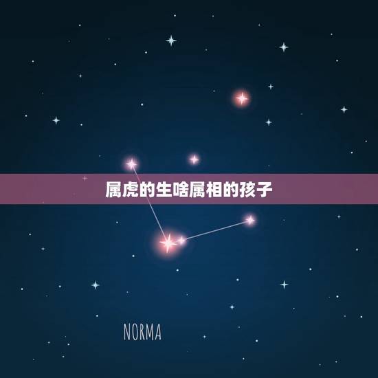 属虎的生啥属相的孩子,属鸡的妈妈适合生什么属相的宝宝? 属虎的生啥属相的孩子,属鸡的妈妈适合生什么属相的宝宝?