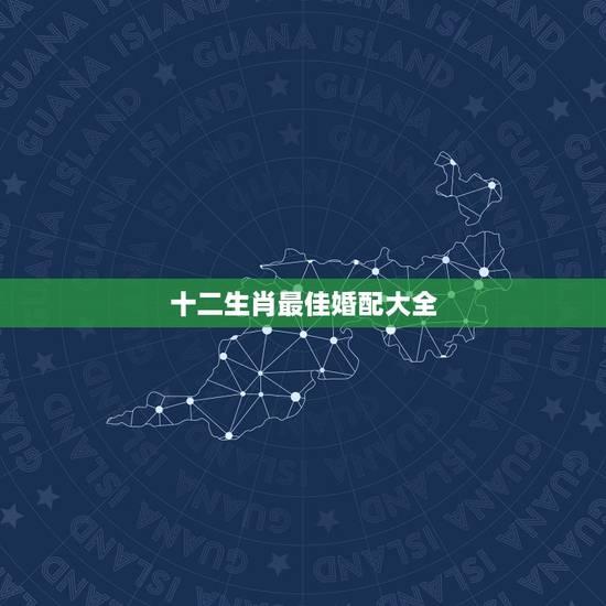 十二生肖最佳婚配大全，属蛇的和什么属相最配 揭秘最佳婚配表