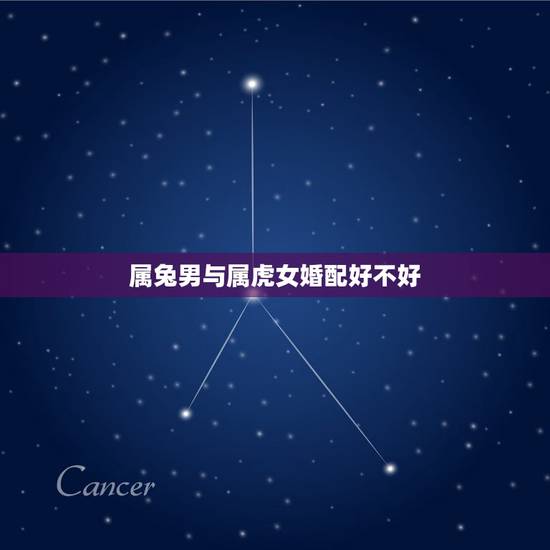属兔男与属虎女婚配好不好,男属兔和女属虎的婚姻好不好 属兔男与属虎女婚配好不好,男属兔和女属虎的婚姻好不好