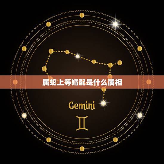 属蛇上等婚配是什么属相，属蛇的最好的婚配是属什么的啊？