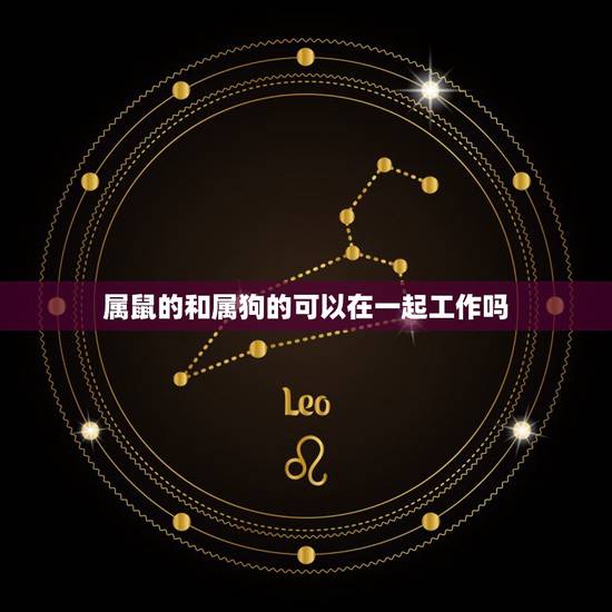 属鼠的和属狗的可以在一起工作吗，属狗和属鼠的能在一起没吗