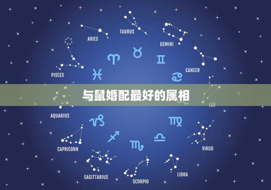 与鼠婚配最好的属相,属鼠的和什么属相最配 与鼠婚配最好的属相,属鼠的和什么属相最配