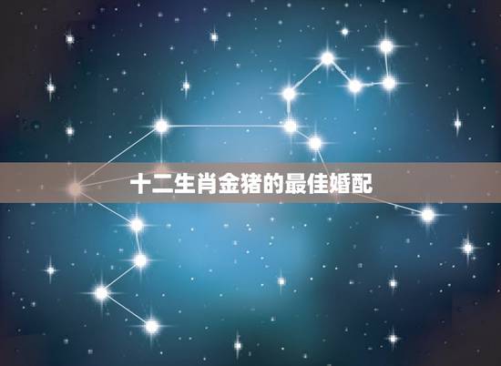 十二生肖金猪的最佳婚配,属相金狗和金猪结婚时 十二生肖金猪的最佳婚配,属相金狗和金猪结婚时