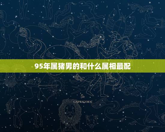 95年属猪男的和什么属相最配,95属猪男的和什么属相最配 95年属猪男的和什么属相最配,95属猪男的和什么属相最配