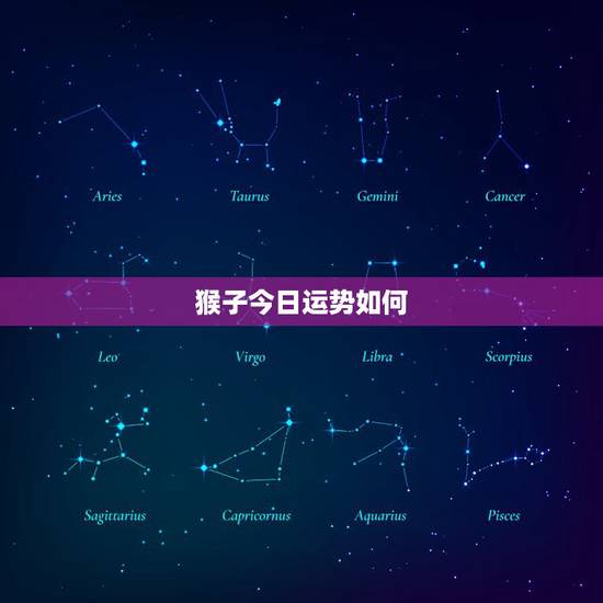 猴子今日运势如何，属猴今年运气