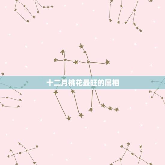 十二月桃花最旺的属相,09年12属相运程,12生肖都要! 十二月桃花最旺的属相,09年12属相运程,12生肖都要!