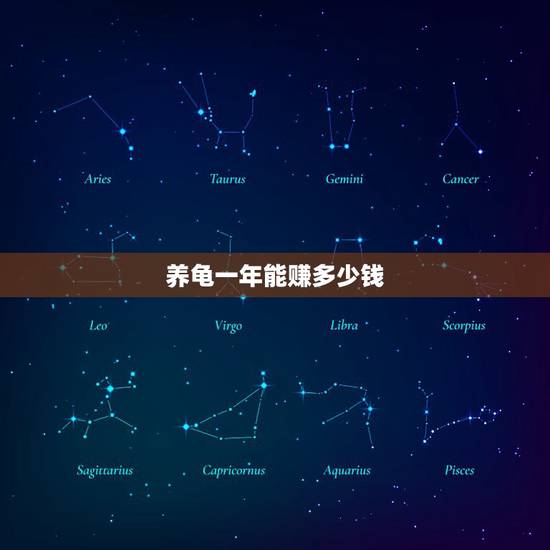 养龟一年能赚多少钱,养龟能赚钱吗 养龟一年能赚多少钱,养龟能赚钱吗