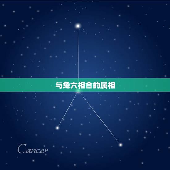与兔六相合的属相，兔跟什么生肖相合