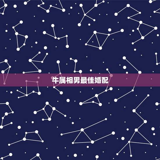 牛属相男最佳婚配，1997属牛男和什么属相婚配合适