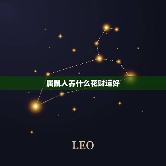 属鼠人养什么花财运好,生肖鼠适合养什么花 属鼠人养什么花财运好,生肖鼠适合养什么花