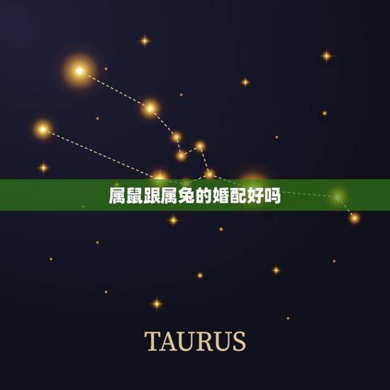 属鼠跟属兔的婚配好吗,男鼠女兔其实很好 属鼠跟属兔的婚配好吗,男鼠女兔其实很好