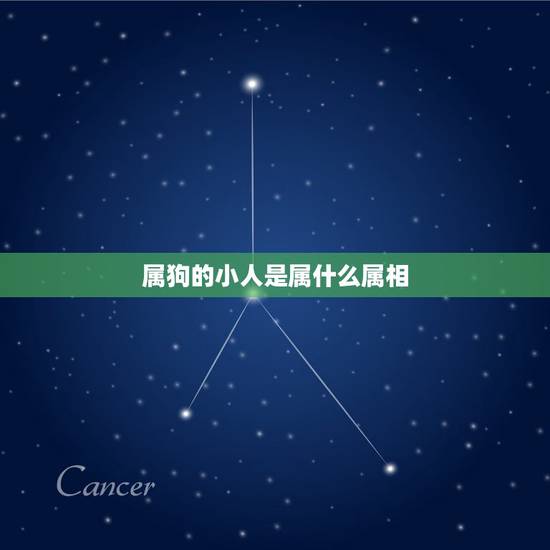 属狗的小人是属什么属相，属相是狗的不能和什么属相的在一起