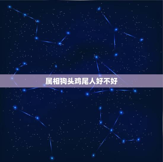 属相狗头鸡尾人好不好，我是猴头鸡尾生的我的属相应按什么来算