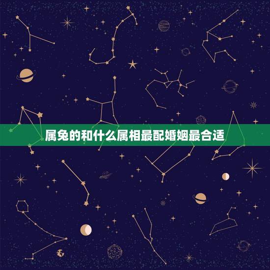 属兔的和什么属相最配婚姻最合适,属兔的女人和什么属相最般配 属兔的和什么属相最配婚姻最合适,属兔的女人和什么属相最般配