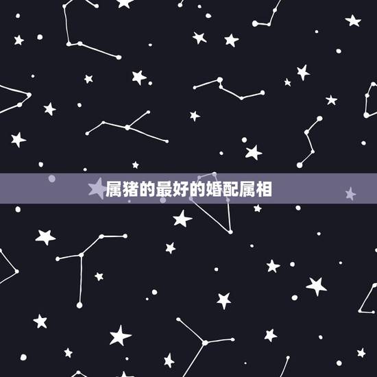 属猪的最好的婚配属相,属相婚配表之属猪的和什么属相最配 属猪的最好的婚配属相,属相婚配表之属猪的和什么属相最配