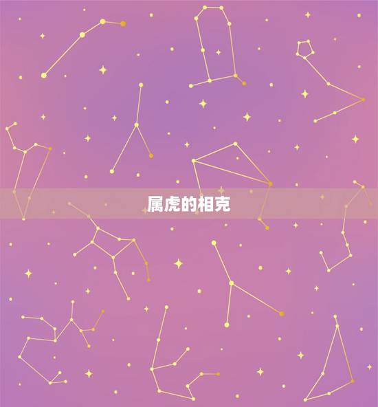 属虎的相克,生肖虎和牛相配吗 属虎的相克,生肖虎和牛相配吗