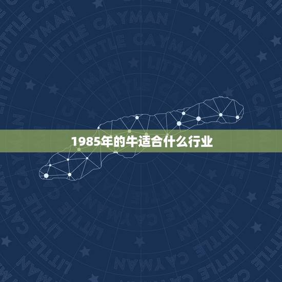 1985年的牛适合什么行业，1985年属牛男适合做什么行业