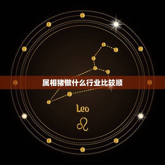 属相猪做什么行业比较顺，属猪的人适合什么职业