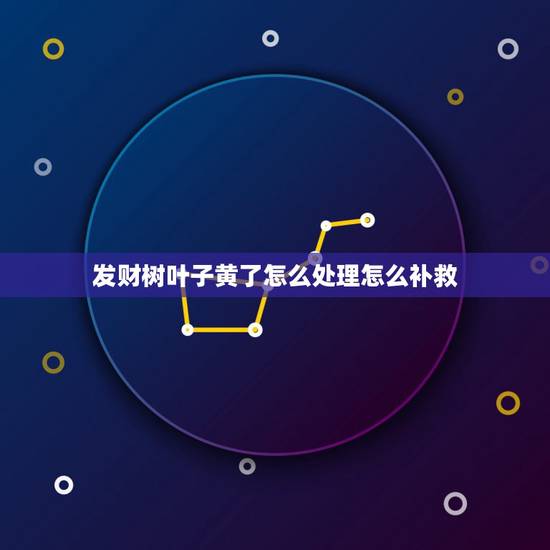 发财树叶子黄了怎么处理怎么补救,发财树叶子发黄怎么办? 发财树叶子黄了怎么处理怎么补救,发财树叶子发黄怎么办?