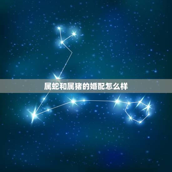 属蛇和属猪的婚配怎么样,属猪与属蛇婚配好不好 属蛇和属猪的婚配怎么样,属猪与属蛇婚配好不好