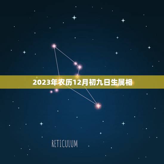 2023年农历12月初九日生属相,属虎74年农历12月初9日出生的男人 2023年农历12月初九日生属相,属虎74年农历12月初9日出生的男人