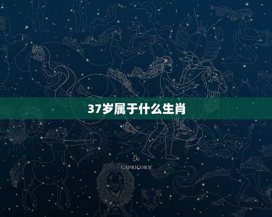 37岁属于什么生肖，42岁今年多大了属什么