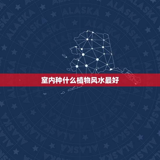 室内种什么植物风水最好,论家里种什么植物风水好 室内种什么植物风水最好,论家里种什么植物风水好
