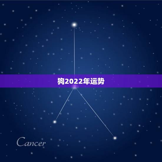 狗2022年运势，2021年狗人的全年运势如何