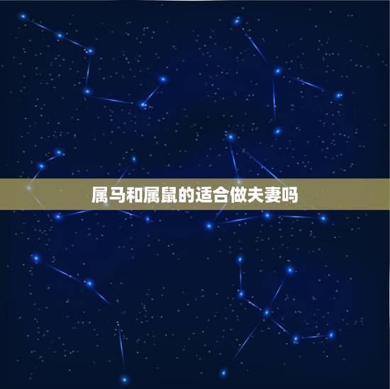 属马和属鼠的适合做夫妻吗,90年马与2022 年鼠相克吗 属马和属鼠的适合做夫妻吗,90年马与2022 年鼠相克吗