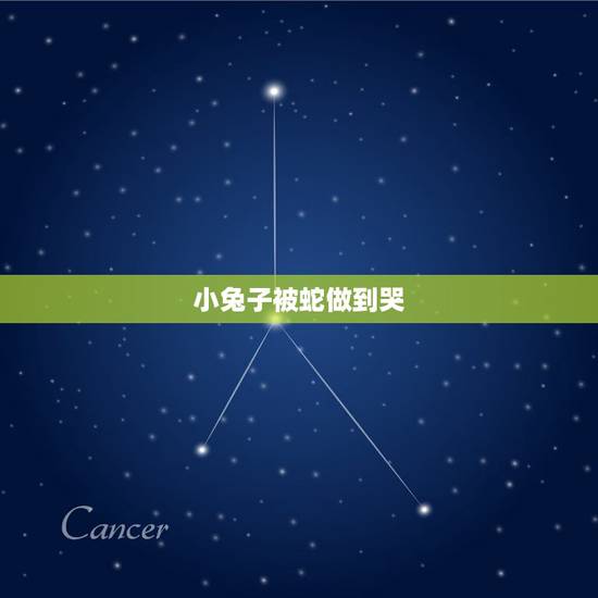 小兔子被蛇做到哭,当一只兔子救了一条蛇 小兔子被蛇做到哭,当一只兔子救了一条蛇