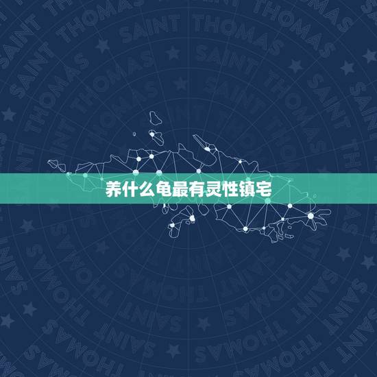养什么龟最有灵性镇宅,一般家里养什么乌龟好?就是风水好的那种。 养什么龟最有灵性镇宅,一般家里养什么乌龟好?就是风水好的那种。