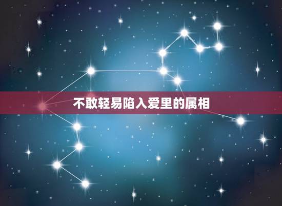 不敢轻易陷入爱里的属相,属马的配什么属相好 不敢轻易陷入爱里的属相,属马的配什么属相好