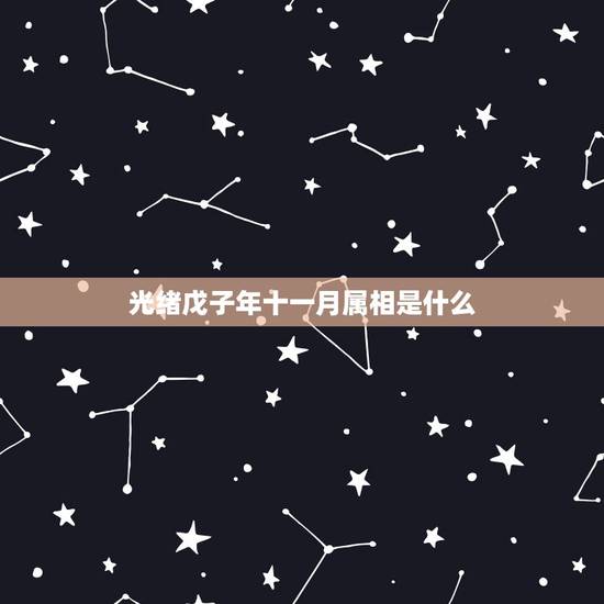 光绪戊子年十一月属相是什么,光绪戊子年9月朔日是公元多少年? 光绪戊子年十一月属相是什么,光绪戊子年9月朔日是公元多少年?