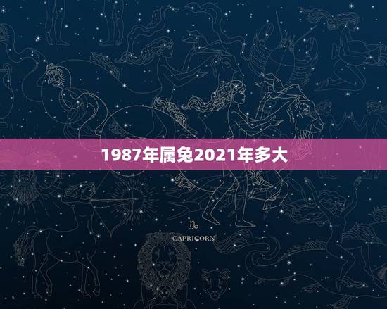 1987年属兔2021年多大,87年2021年多大? 1987年属兔2021年多大,87年2021年多大?