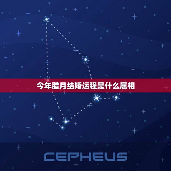 今年腊月结婚运程是什么属相，我属兔，男友属鼠，我们今年腊月22结婚，结