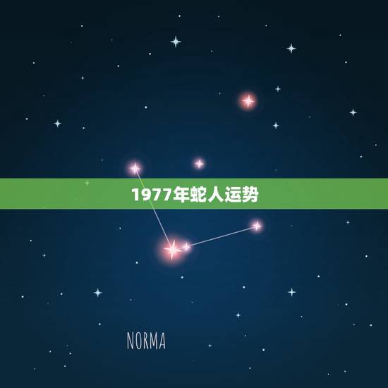1977年蛇人运势，1977年属蛇的人那年财运亨通