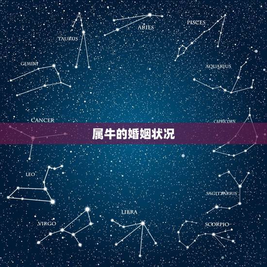 属牛的婚姻状况,2022年属牛结婚日子 属牛的婚姻状况,2022年属牛结婚日子
