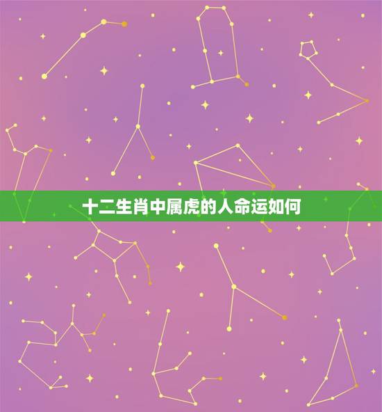 十二生肖中属虎的人命运如何，十二生肖属虎
