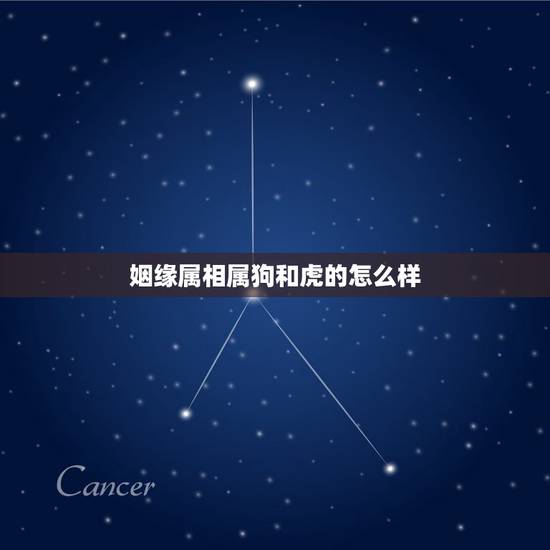 姻缘属相属狗和虎的怎么样,属狗的水命和属虎的火命婚缘好吗 姻缘属相属狗和虎的怎么样,属狗的水命和属虎的火命婚缘好吗