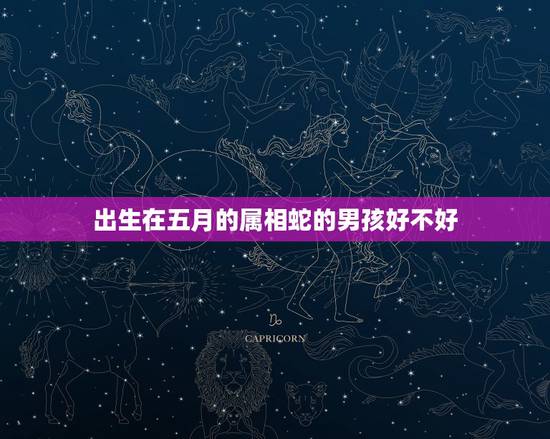 出生在五月的属相蛇的男孩好不好,2016年,男属蛇,女属狗,5月4日 出生在五月的属相蛇的男孩好不好,2016年,男属蛇,女属狗,5月4日