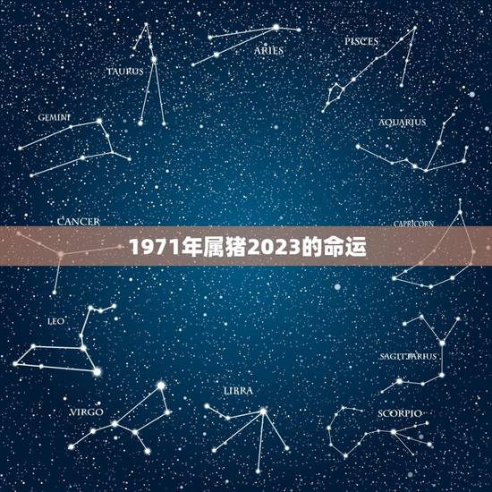 1971年属猪2023的命运,71年的猪女哪年走大运 1971年属猪2023的命运,71年的猪女哪年走大运