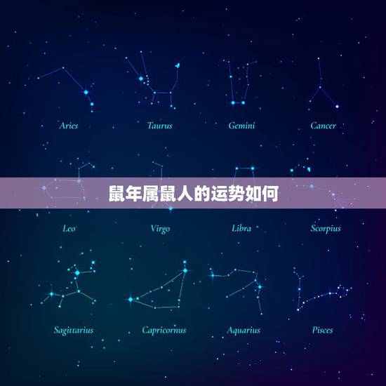 鼠年属鼠人的运势如何,2022年属鼠人运程 鼠年属鼠人的运势如何,2022年属鼠人运程