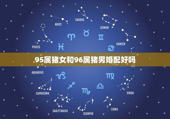 95属猪女和96属猪男婚配好吗,男96年属鼠和女95年属猪的结婚好吗? 95属猪女和96属猪男婚配好吗,男96年属鼠和女95年属猪的结婚好吗?