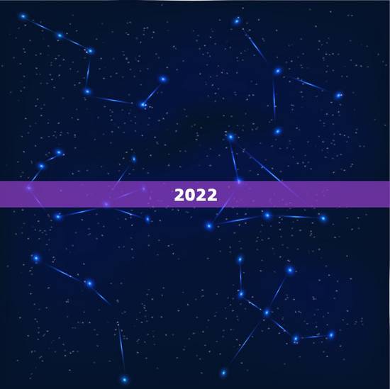 2022 辛丑年生肖,2022 年什么年 2022 辛丑年生肖,2022 年什么年