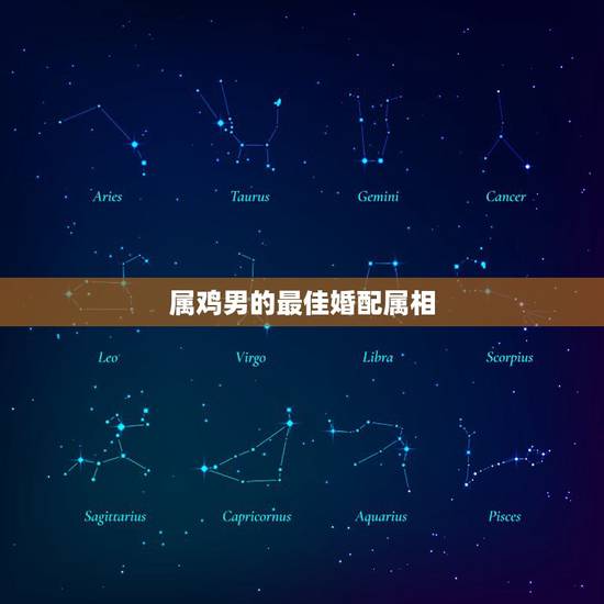 属鸡男的最佳婚配属相,鸡的最佳属相配偶 属鸡男的最佳婚配属相,鸡的最佳属相配偶