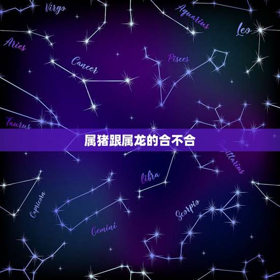 属猪跟属龙的合不合，属猪跟属牛合不合