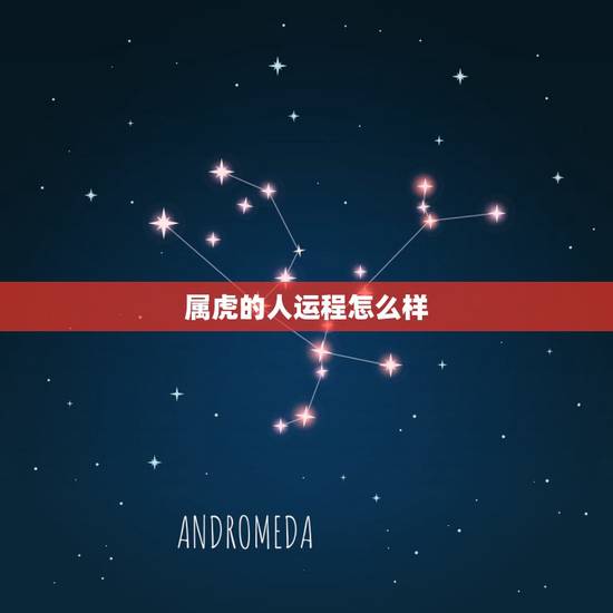 属虎的人运程怎么样,1971年属猪2022 年运势 属虎的人运程怎么样,1971年属猪2022 年运势